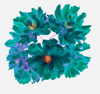 F 053F
